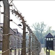 Picture Of Auschwitz Birkenau Prison Camps