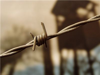 Picture Of Prison Captive Wire